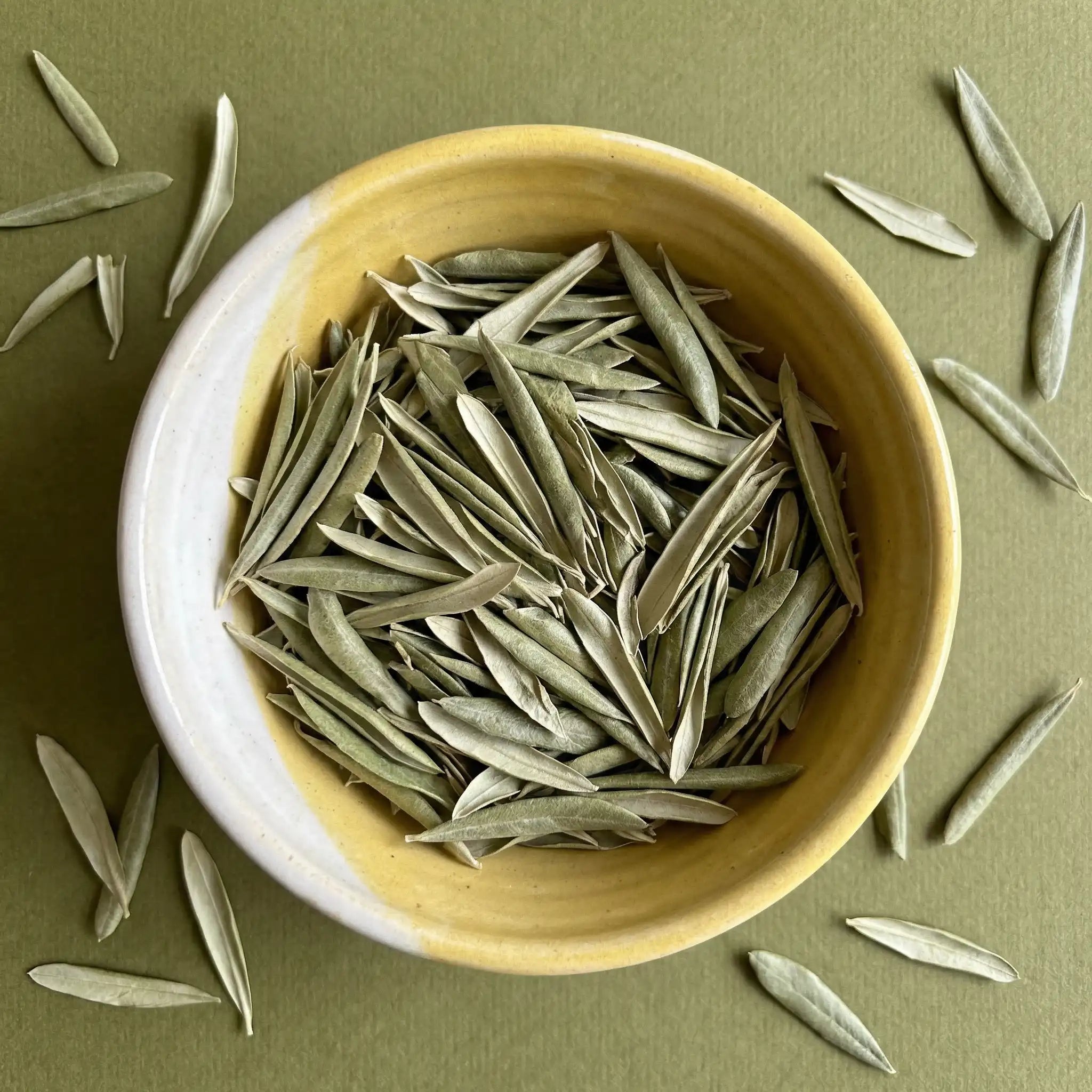 Olivenblätter Tee kaufen – mediterrane Kraft
